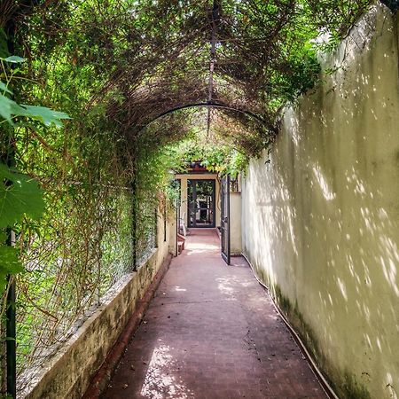 Santa Reparata Apartment With Patio And Terrace フィレンツェ エクステリア 写真